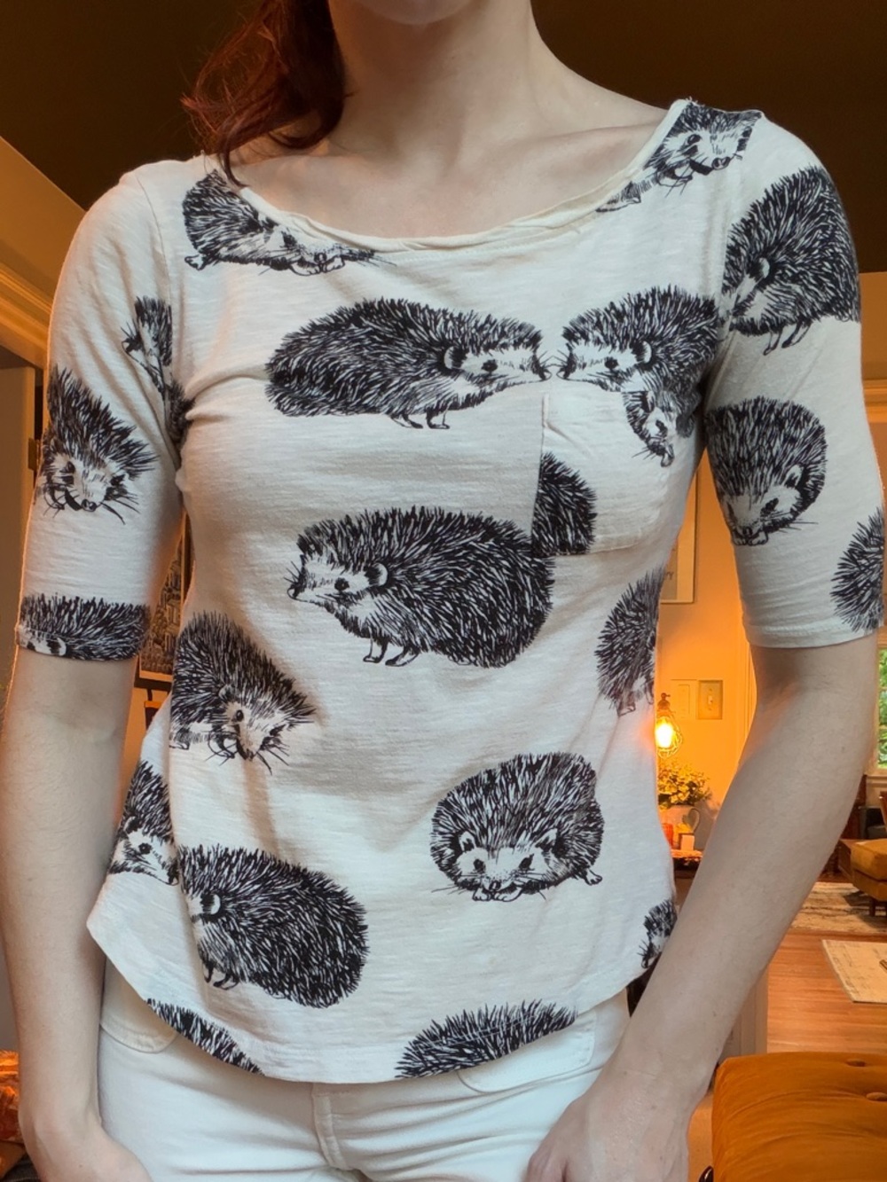 RARE Anthro hedgehog shirt